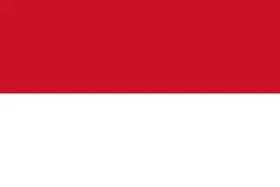 ${utils.imgAlt(siteLang.ico)}
